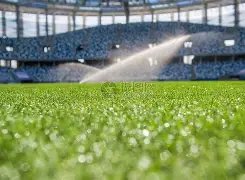 申花力推,雙塔,戰術,中国皇冠彩票网,中国皇冠彩票网首页,中国皇冠彩票网首页官方